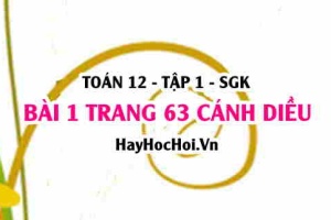 Bài 1 trang 63 Toán 12 tập 1 Cánh Diều